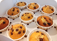 Vanille-Muffins mit Schokoladenstückchen